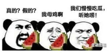 吃瓜爆料大连话怎么说的,大连方言版“吃瓜爆料”趣味解读