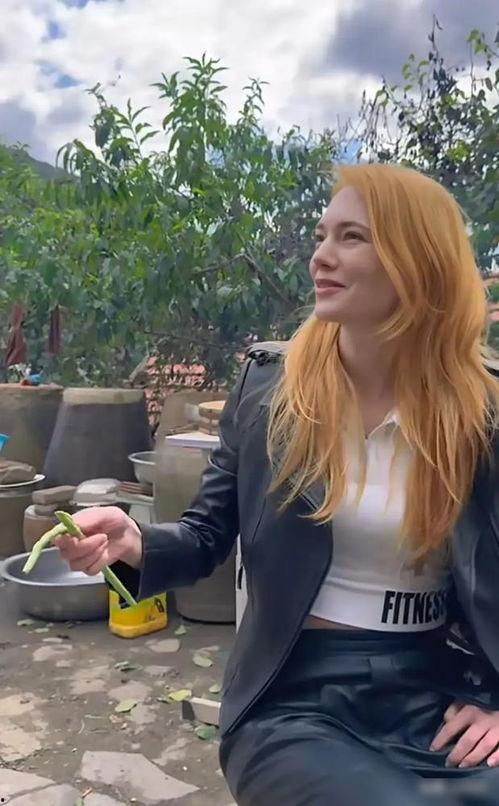 淄博哪个明星网红去了,明星网红齐聚，魅力淄博焕新颜