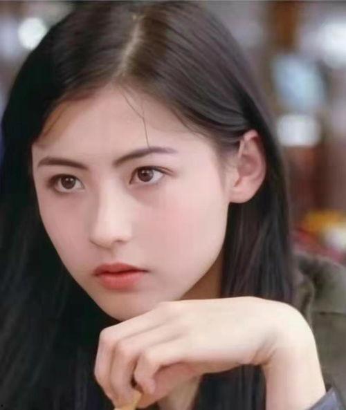 淄博哪个明星网红去了,明星网红齐聚，魅力淄博焕新颜