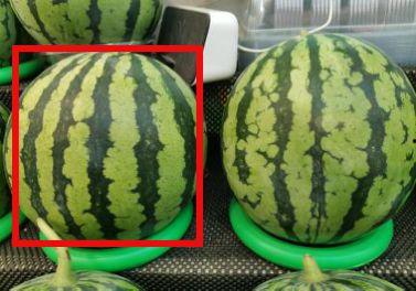 网络吃瓜热门,揭秘热门事件背后的真相与笑料