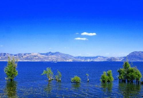 洱海明星网红有哪些,探寻洱海魅力背后的网红风采