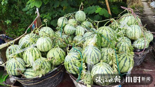 今日曲靖头条最大的瓜,揭秘惊人内幕，震惊全城！