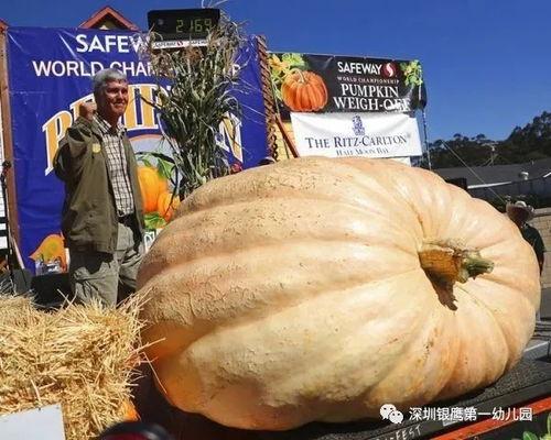 今日曲靖头条最大的瓜,揭秘惊人内幕，震惊全城！