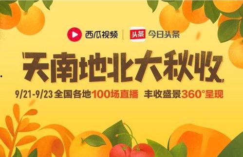 今日曲靖头条最大的瓜,揭秘惊人内幕，震惊全城！