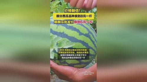 麒麟瓜今日报价,新鲜上市，价格实惠，抢购从速！