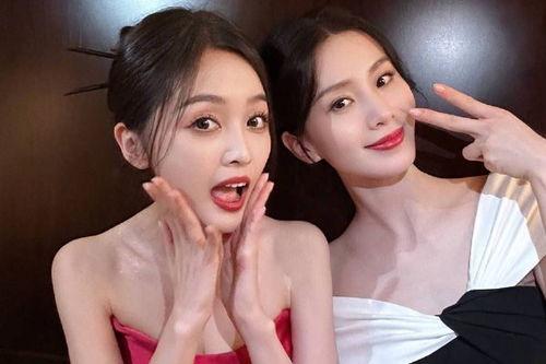 明星热门吃瓜网,明星热门吃瓜网，带你一网打尽明星幕后故事