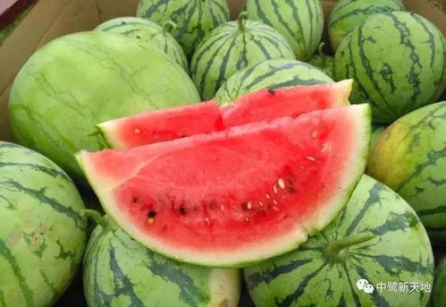 安溪今日吃瓜热点事件,今日瓜田奇闻，揭秘幕后真相