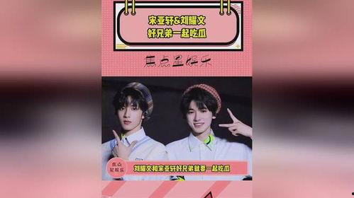 吃瓜爆料刘耀文宋亚轩,瓜田李下，揭秘娱乐圈的甜蜜纠葛