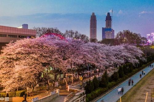 吃瓜爆料抖音网红路虎,吃瓜爆料背后的故事