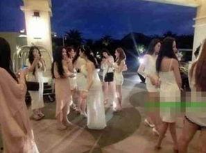 聚众明星网红有哪些,揭秘当红明星网红的璀璨人生