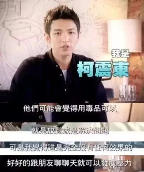 聚众明星网红有哪些,揭秘当红明星网红的璀璨人生