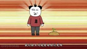 吃瓜沙雕动画热门,揭秘网络搞笑文化的魅力与疯狂
