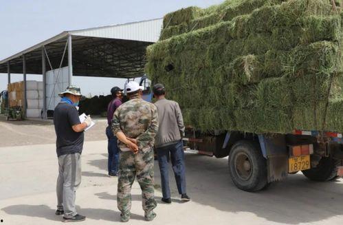 瓜州大地今日新闻,聚焦乡村振兴，共话绿色发展