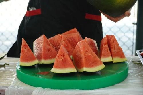 学校吃瓜热门,揭秘校园吃瓜风云录