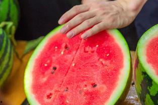 学校吃瓜热门,揭秘校园吃瓜风云录