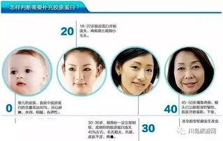 明星网红吃鱼胶做法,明星网红教你轻松制作鱼胶美食秘籍