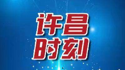 许昌今日头条卖瓜,新鲜瓜果任你挑，夏日炎炎解渴佳选