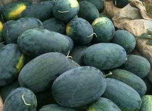 51cg热门大瓜黑料,娱乐圈背后的真相曝光