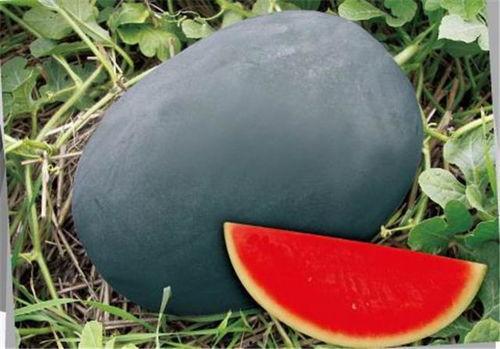 51cg热门大瓜黑料,娱乐圈背后的真相曝光