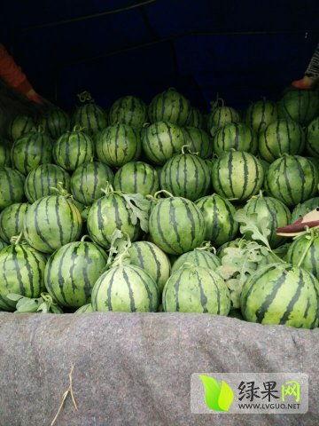 热门瓜近期,热门瓜盘点，揭秘明星幕后故事