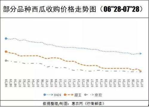 兰州今日瓜价行情查询,时令鲜甜，价格亲民