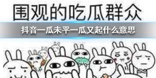 抖音吃瓜爆料什么意思呀,网络舆论场上的热点追踪