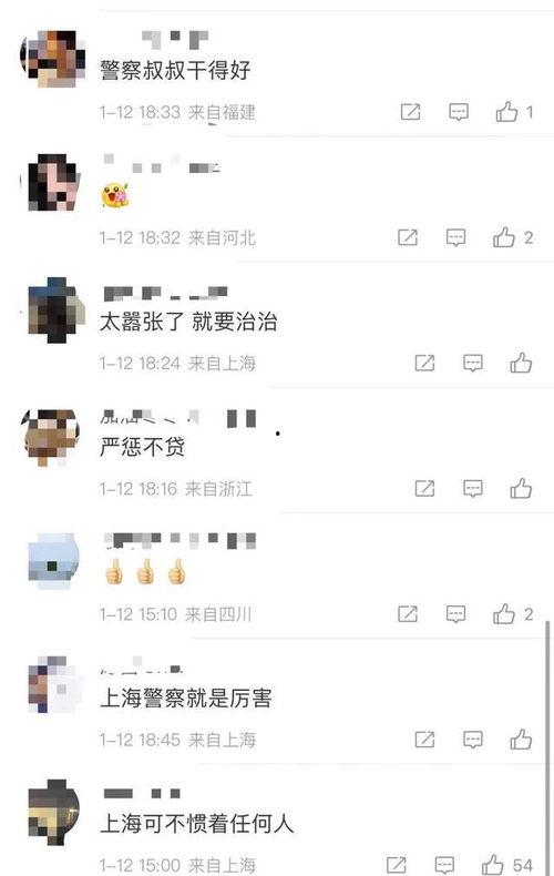 网络热门事件吃瓜打架,吃瓜群众化身“打架高手”，揭秘网络暴力背后的真相