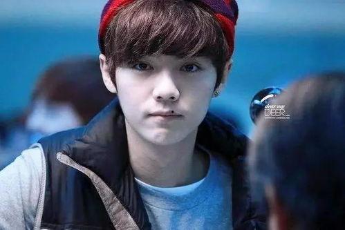 娱乐圈吃瓜高伟光微博,娱乐圈风云再起