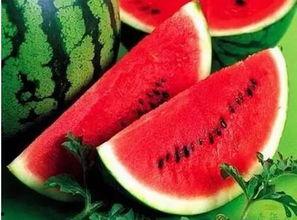 青海吃瓜各种热门事件,揭秘高原上的热门事件风云录