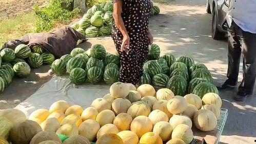 吃瓜热门视,揭秘娱乐圈幕后故事