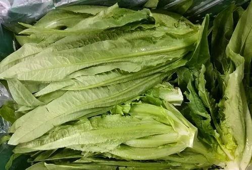 今日郑州茄瓜价格多少,市民关注菜篮子行情