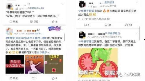 热门爆料今日大瓜,热门爆料揭秘娱乐圈惊天秘密