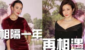 吃瓜各种热门事件刘嘉玲,从吃瓜热门事件看娱乐圈的繁华与沧桑