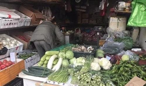 云南葫芦瓜价格今日价,市场行情实时解析