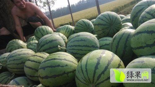 五一最新吃瓜爆料事件是什么,揭秘娱乐圈惊天大事件！