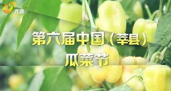 莘县瓜菜节今日开始,丰收盛宴启幕，瓜果飘香迎宾朋