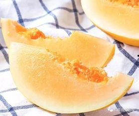 黄金香蜜瓜今日价格,品味甜蜜，尽享丰收时刻”