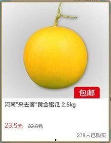 黄金香蜜瓜今日价格,品味甜蜜，尽享丰收时刻”