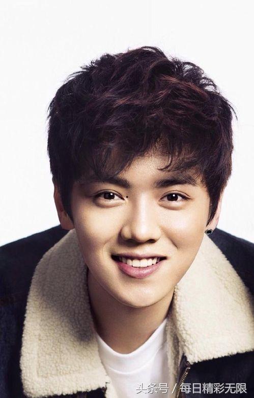 男人明星网红有哪些,盘点当下最具人气的男性明星网红