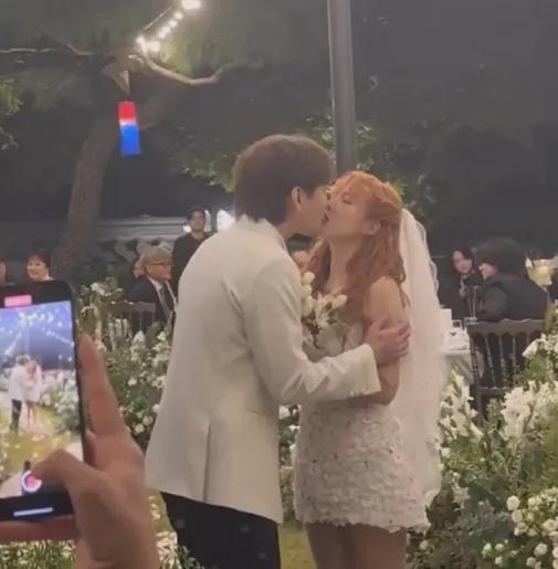 明星网红婚礼合集视频,明星网红婚礼合集大揭秘