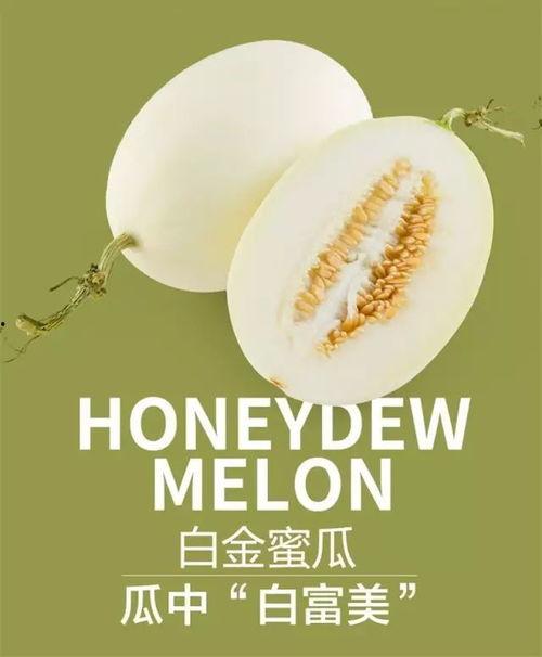 蜜瓜金三今日价格,市场动态一览”