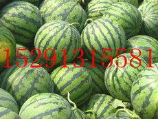 瓜达克斯今日价格行情,涨跌波动，市场动态一览