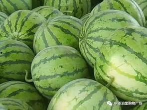 热门葫芦瓜特效怎么做,热门特效轻松上手