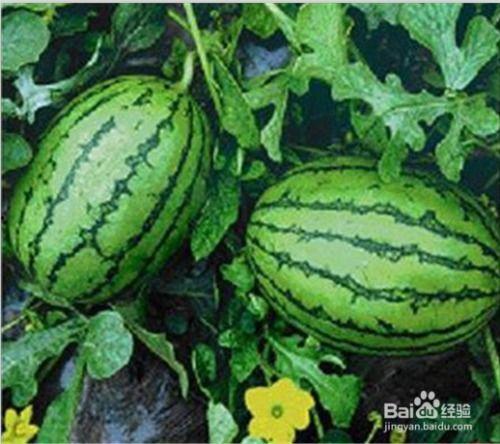 福建近期热门吃瓜事件真相,还原事件背后真相