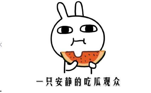 抖音热料爆料吃瓜不打烊,吃瓜不打烊，娱乐圈新鲜事一网打尽