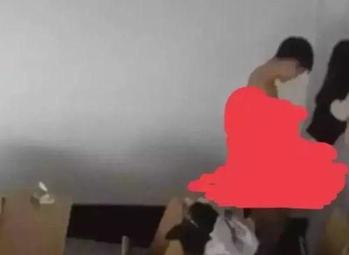 艺术校热门吃瓜事件,热门吃瓜事件揭秘