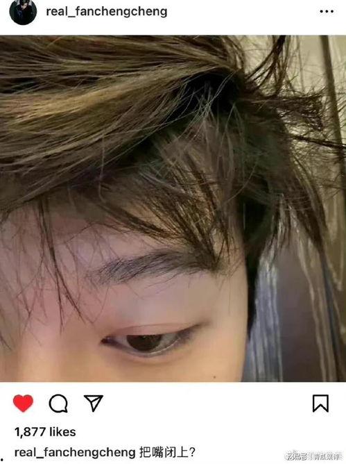 吃瓜爆料范丞丞贾玲视频,吃瓜群众热议幕后故事