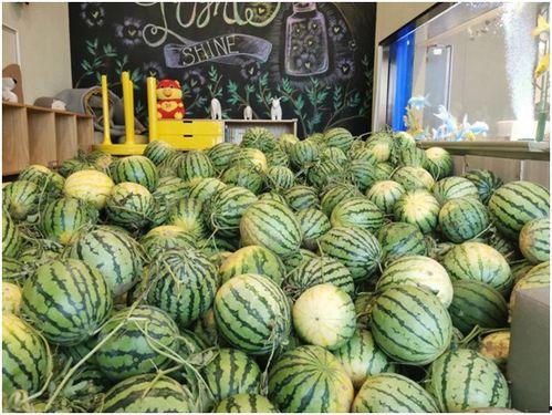 今日俄罗斯吃瓜,吃瓜群众眼中的风云变幻