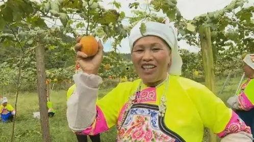 吊瓜今日报价,市场行情一览