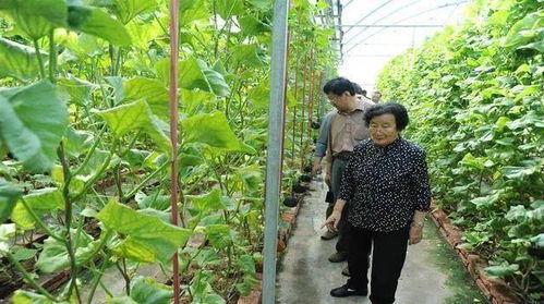 小伊伊吃瓜爆料是真的吗,真相揭秘，是真是假？